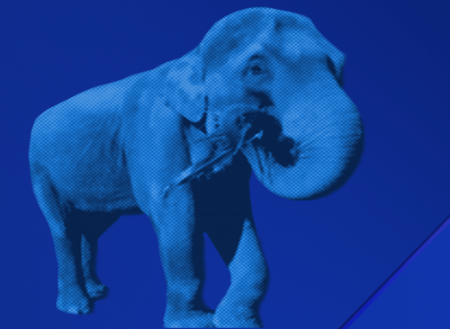 How to Eat a Software Elephant